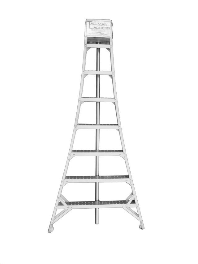 Rental store for LADDER, ORCHARD 16 in Mycity ZZ