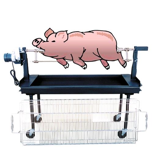 Rental store for BARBEQUE, 5  W  ROTISSERIE CHARCOAL in Mycity ZZ