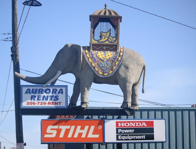 Rental store for THE GREENLAKE ELEPHANT in Mycity ZZ