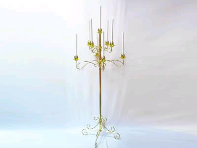 Rental store for CANDELABRA, 9 LITE BRASS in Mycity ZZ