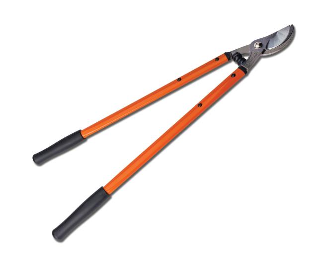Rental store for STIHL PL 5 LOPPER 28  HANDLE in Mycity ZZ