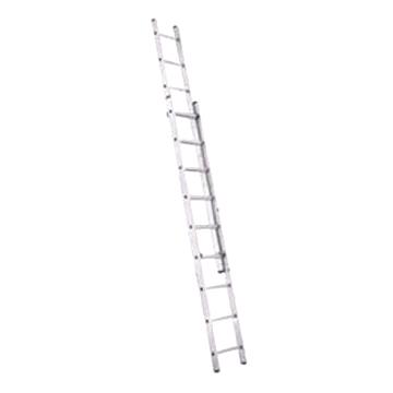 Rental store for LADDER, EXTENSION 20 in Mycity ZZ