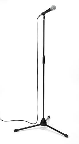 Rental store for STAND, MICROPHONE in Mycity ZZ