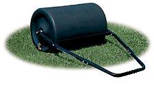 Rental store for ROLLER, LAWN in Mycity ZZ