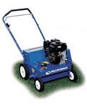 Rental store for OVERSEEDER, LAWN in Mycity ZZ